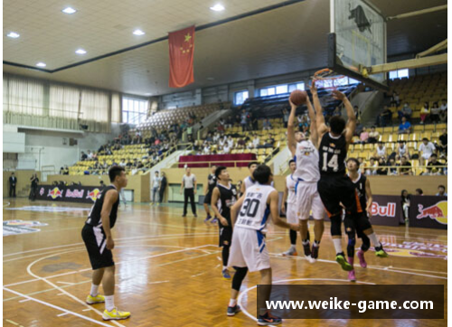 辽宁沈阳球队新星：焕发新生的冠军希望