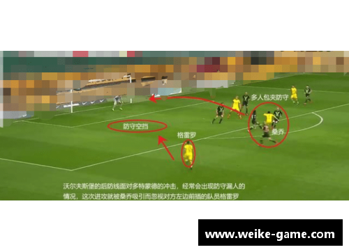 深度剖析内线球员技术：视频解析与专家观点