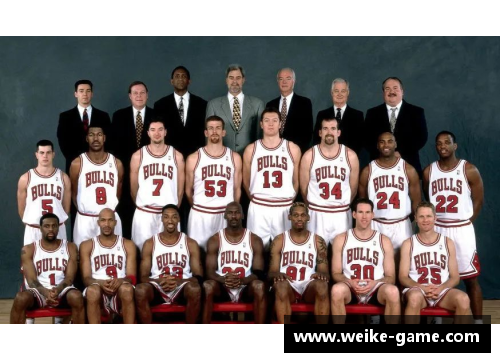 NBA球星纪录片全览：探索传奇生涯与超凡成就